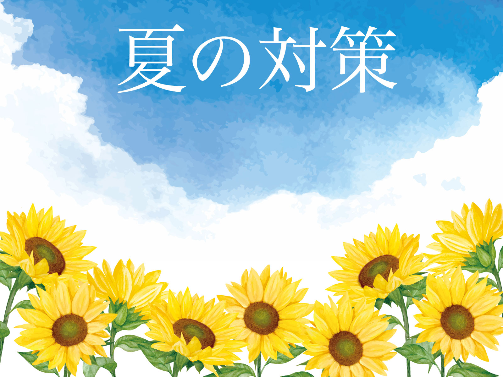 夏だからこそ、SEO対策を強化するべき3つの理由